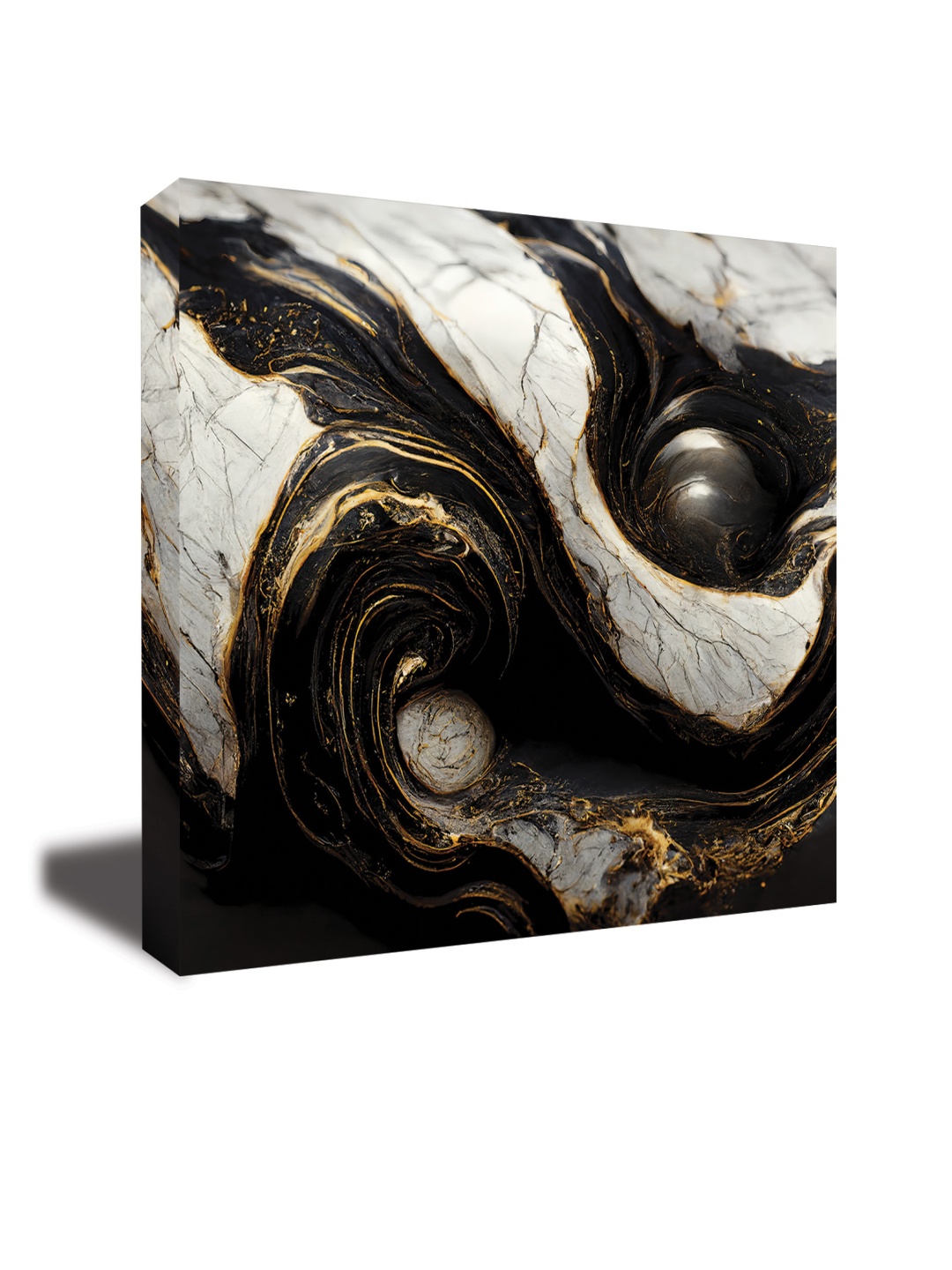 

CVANU White & Black Canvas Abstract Painting Wall Art