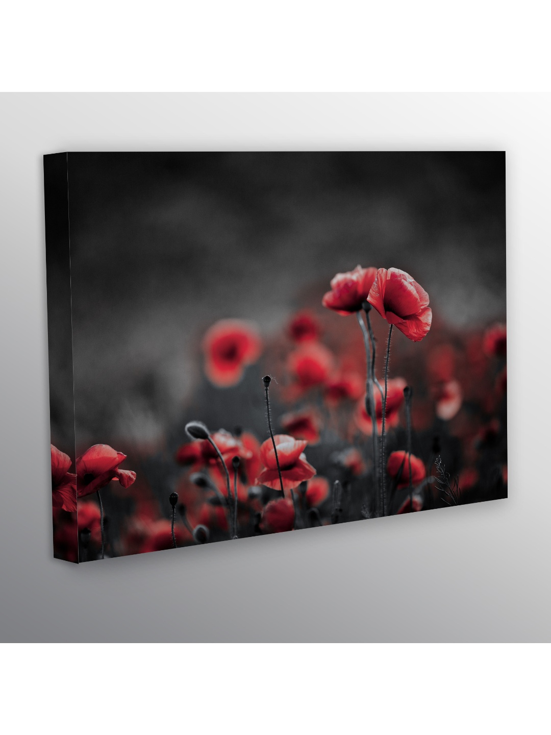 

CVANU Black & Grey Floral and Botanical Rectangle Canvas Wall Art Painting