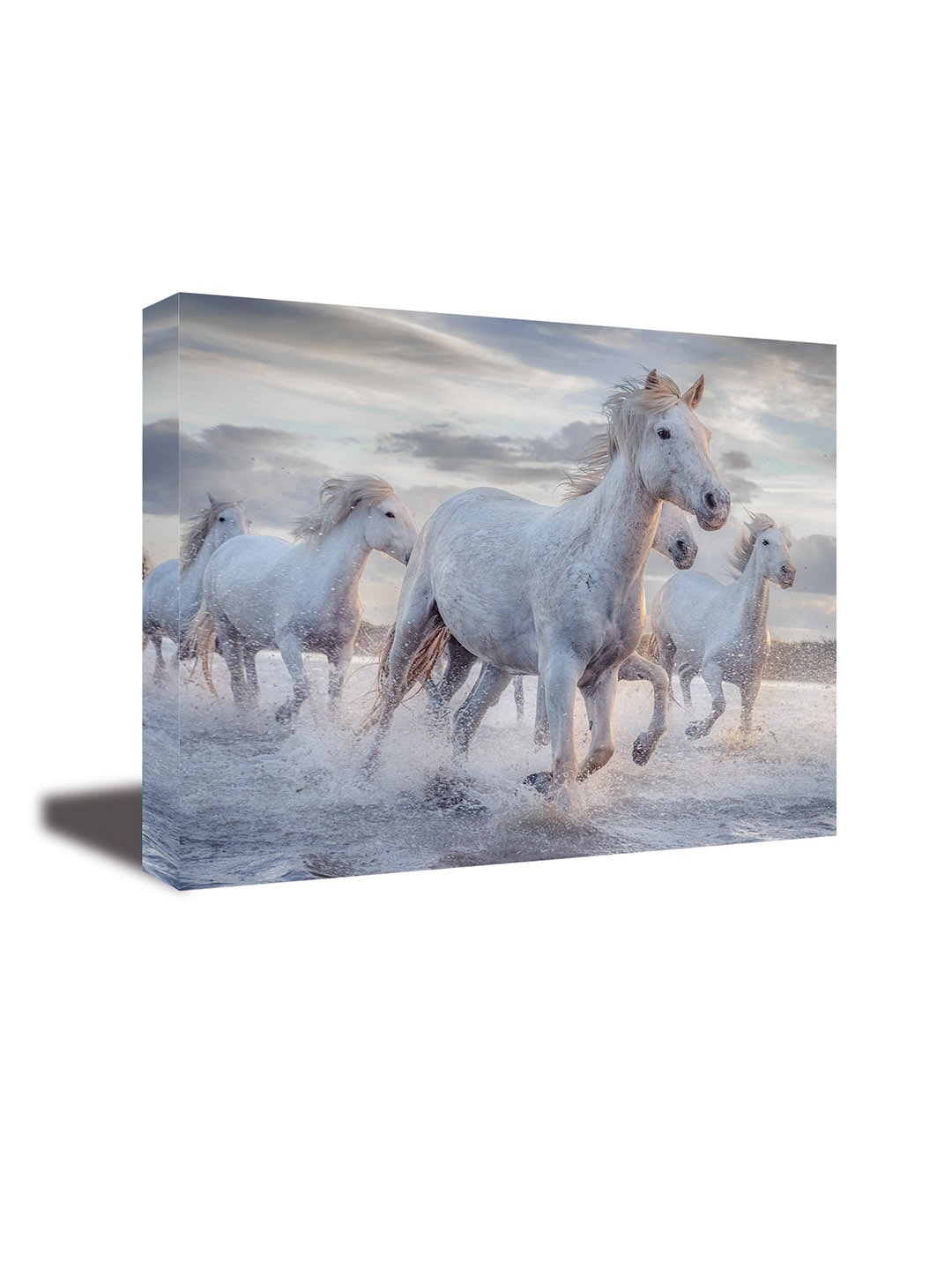 

CVANU White & Beige Canvas Animal Painting Wall Art