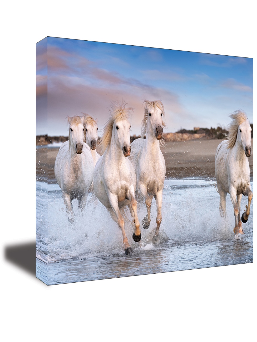 

CVANU Blue & White Canvas Animal Painting Wall Art