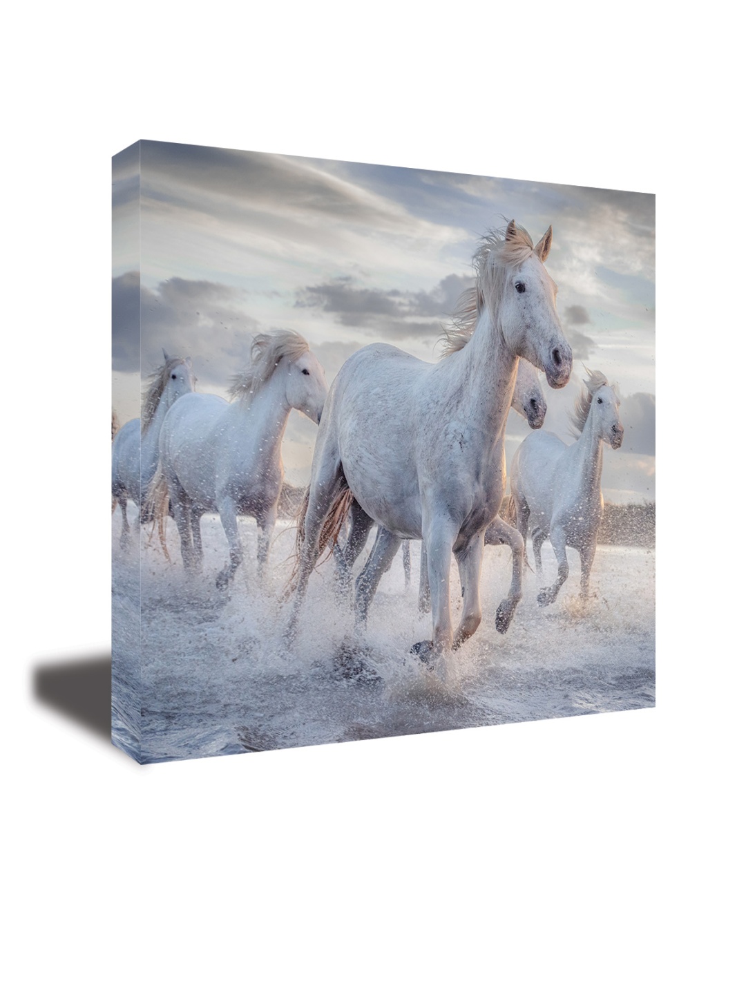 

CVANU White & Beige Canvas Animal Painting Wall Art