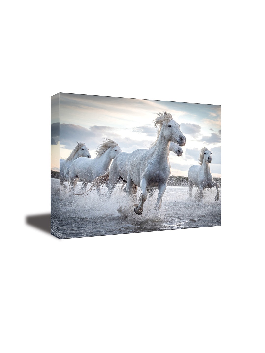 

CVANU White Birds &Animals Canvas Wall Paintings