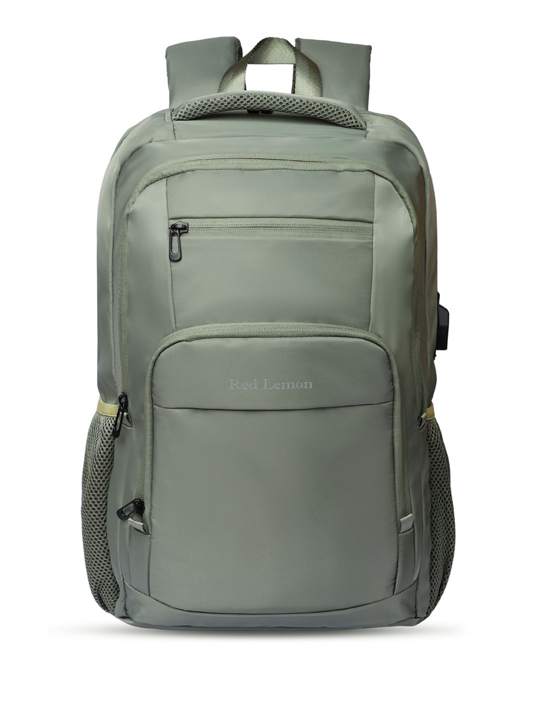 

Red Lemon Swiss Cut Design Laptop Backpack With Rain Cover, Green