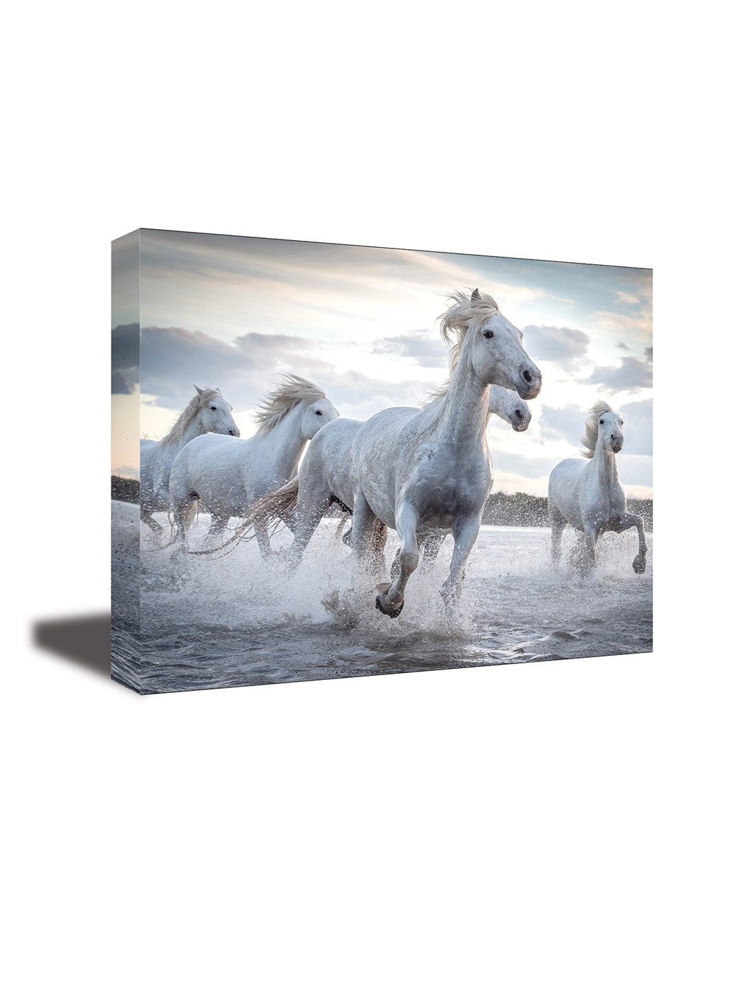 

CVANU White & Beige Canvas Animal Painting Wall Art