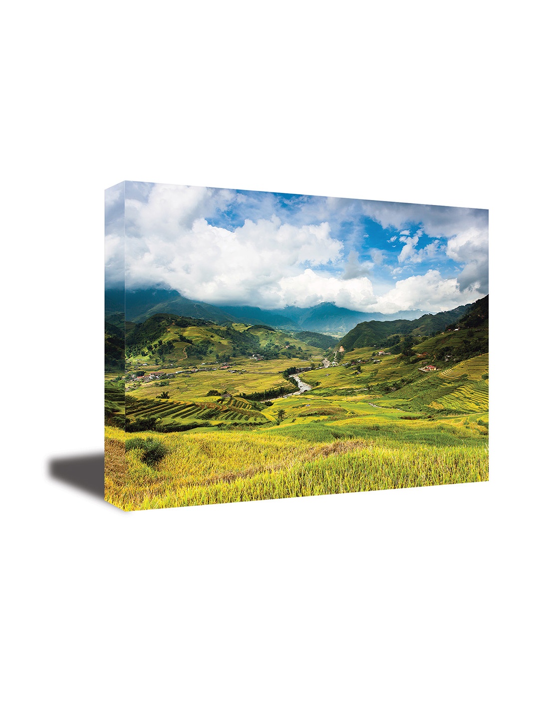 

CVANU Green& White Floral& Botanical Canvas Wall Paintings