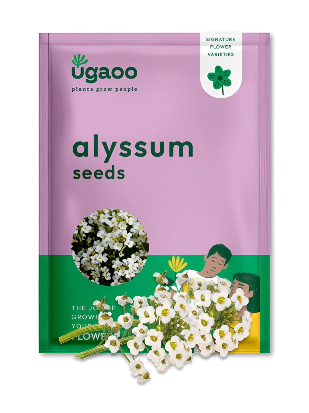 

UGAOO Alyssum Seeds, Brown