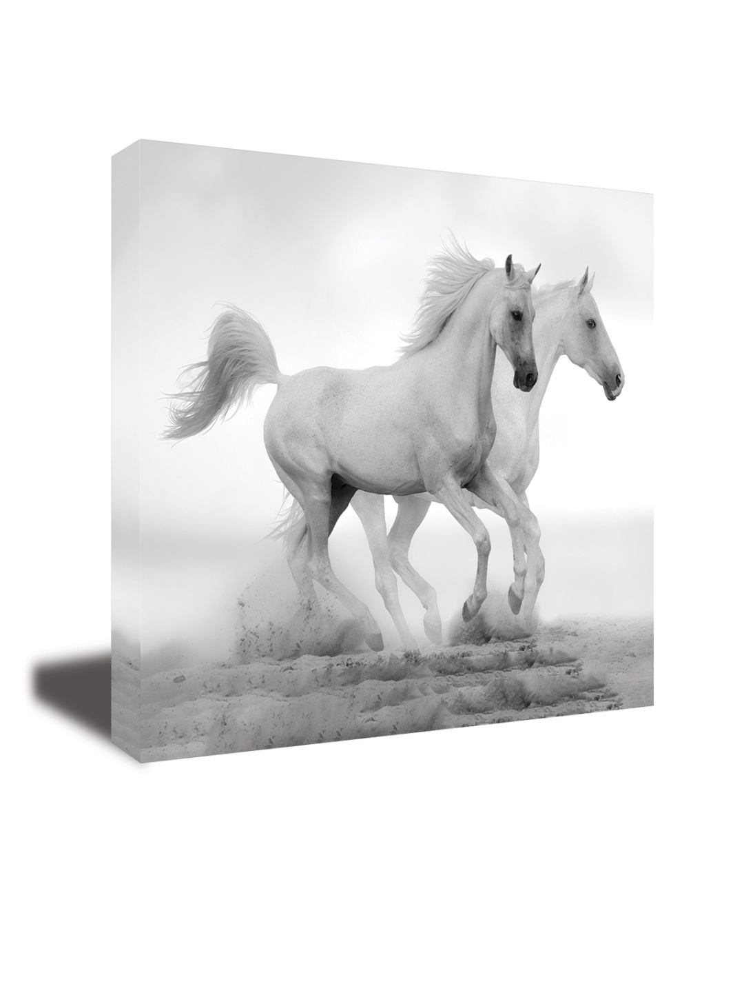

CVANU White Birds& Animals Canvas Wall Paintings
