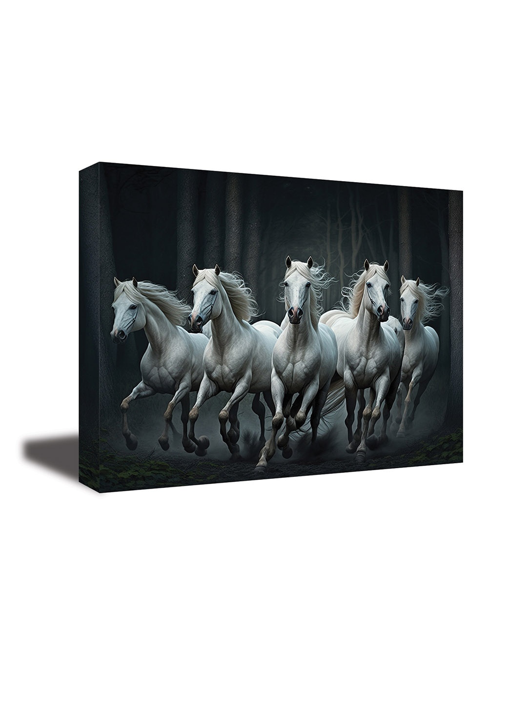 

CVANU White& Black Birds &Animals Canvas Wall Paintings