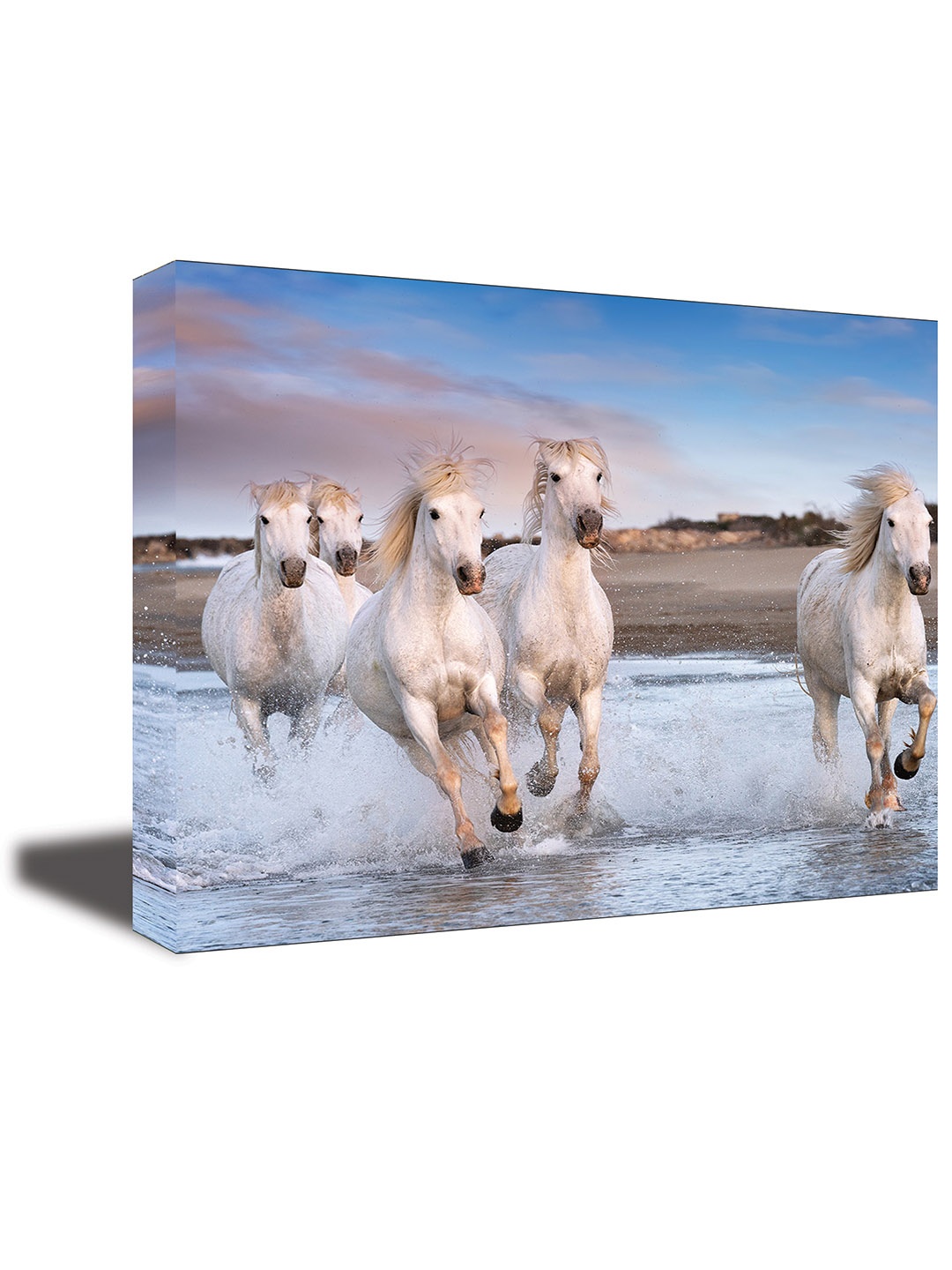 

CVANU White& Blue Birds &Animals Canvas Wall Paintings