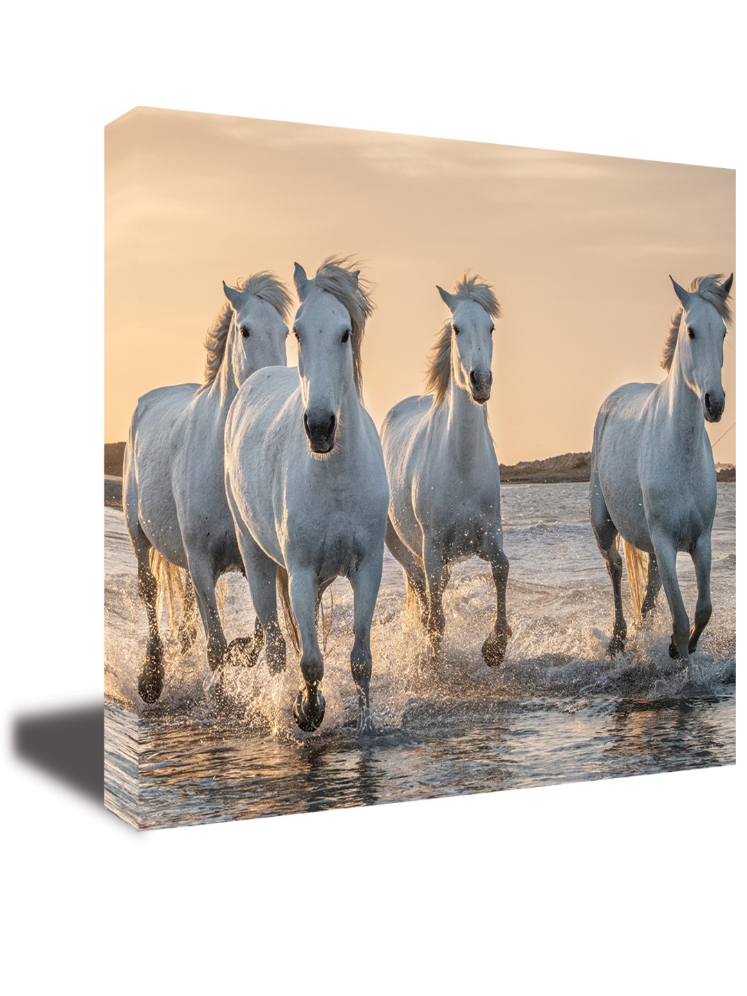 

CVANU White& Beige Birds& Animals Canvas Wall Paintings