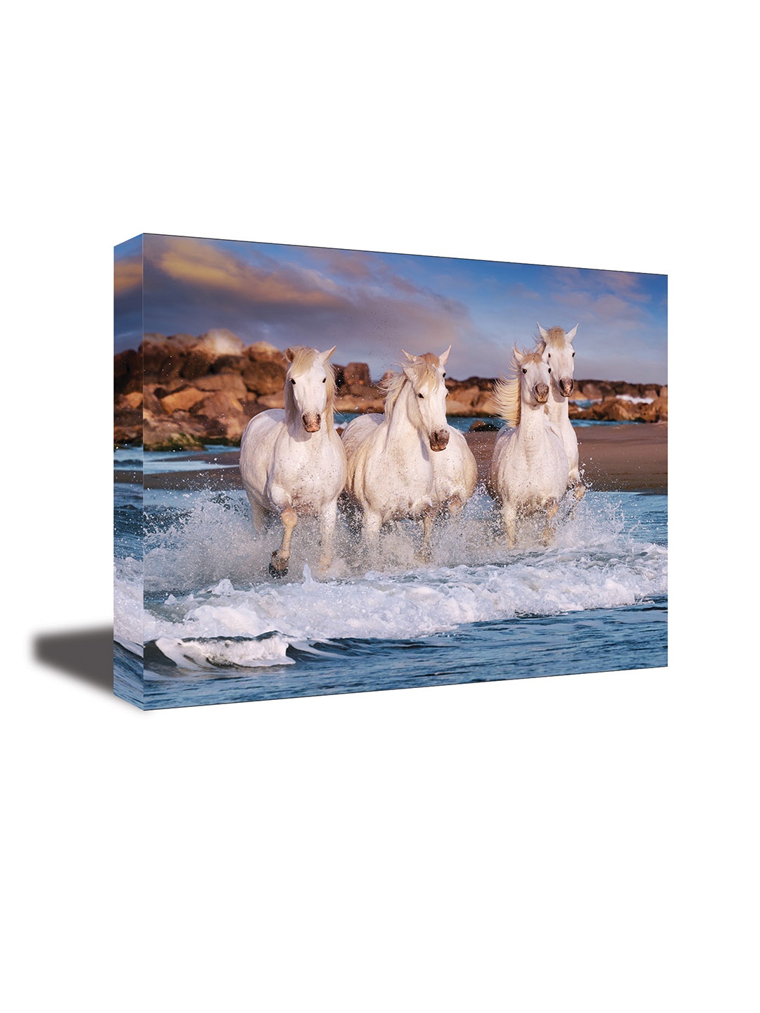 

CVANU Blue & White Canvas Animal Painting Wall Art