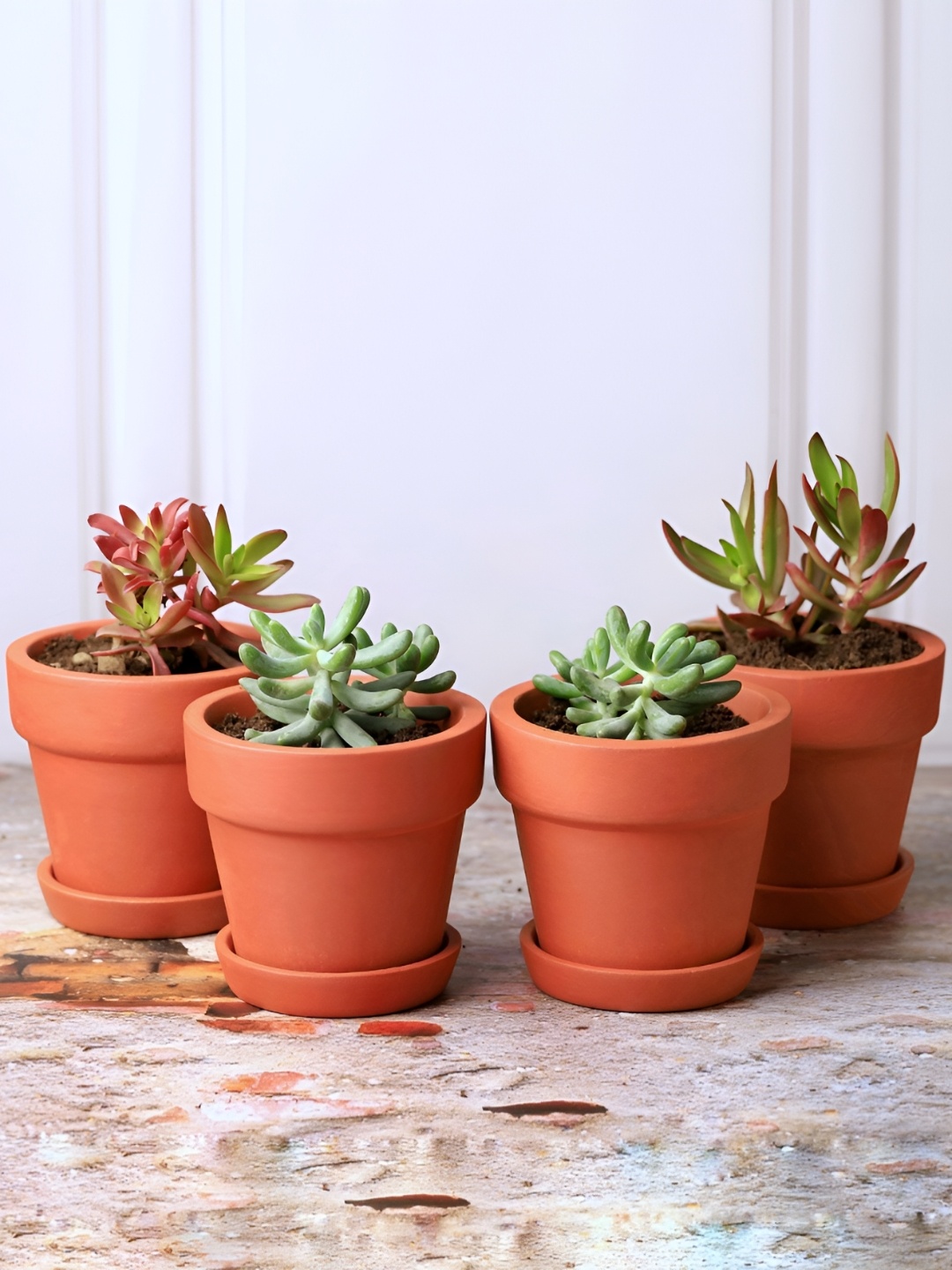 

The handicraftian Brown 4 Pieces Clay Gamala Small Planters