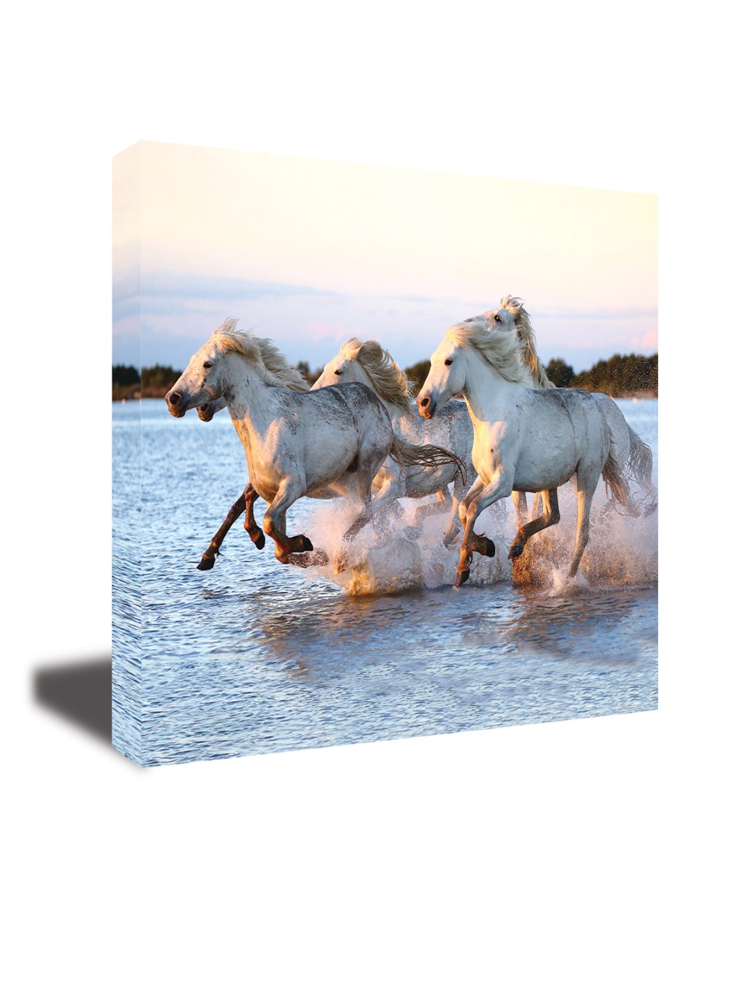 

CVANU Blue & White Canvas Animal Painting Wall Art