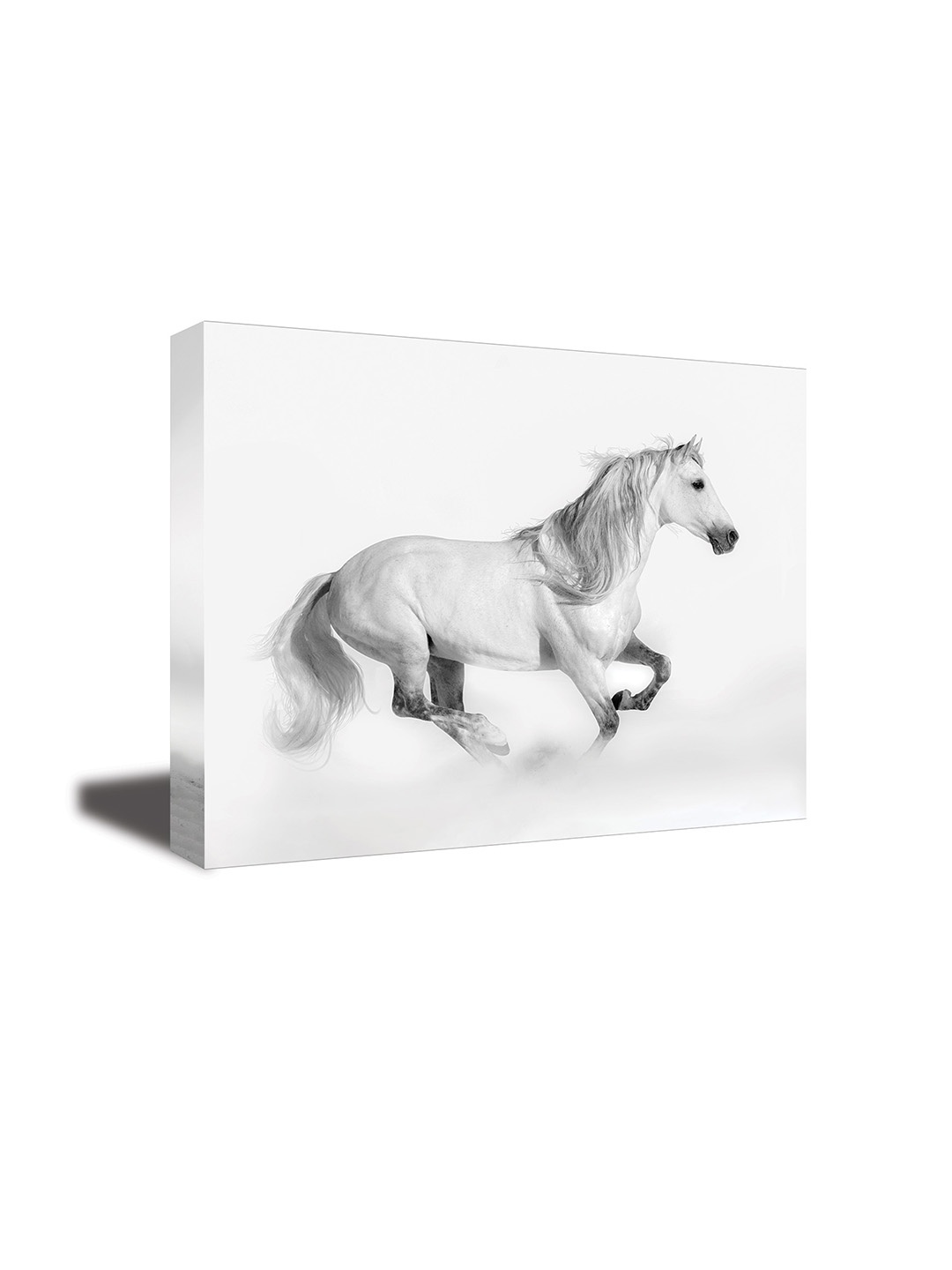 

CVANU White & Grey Canvas Animal Painting Wall Art