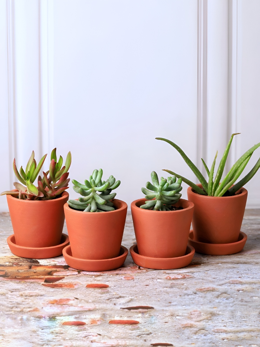 

The handicraftian Brown 4 Pieces Clay Gamala Medium Planters