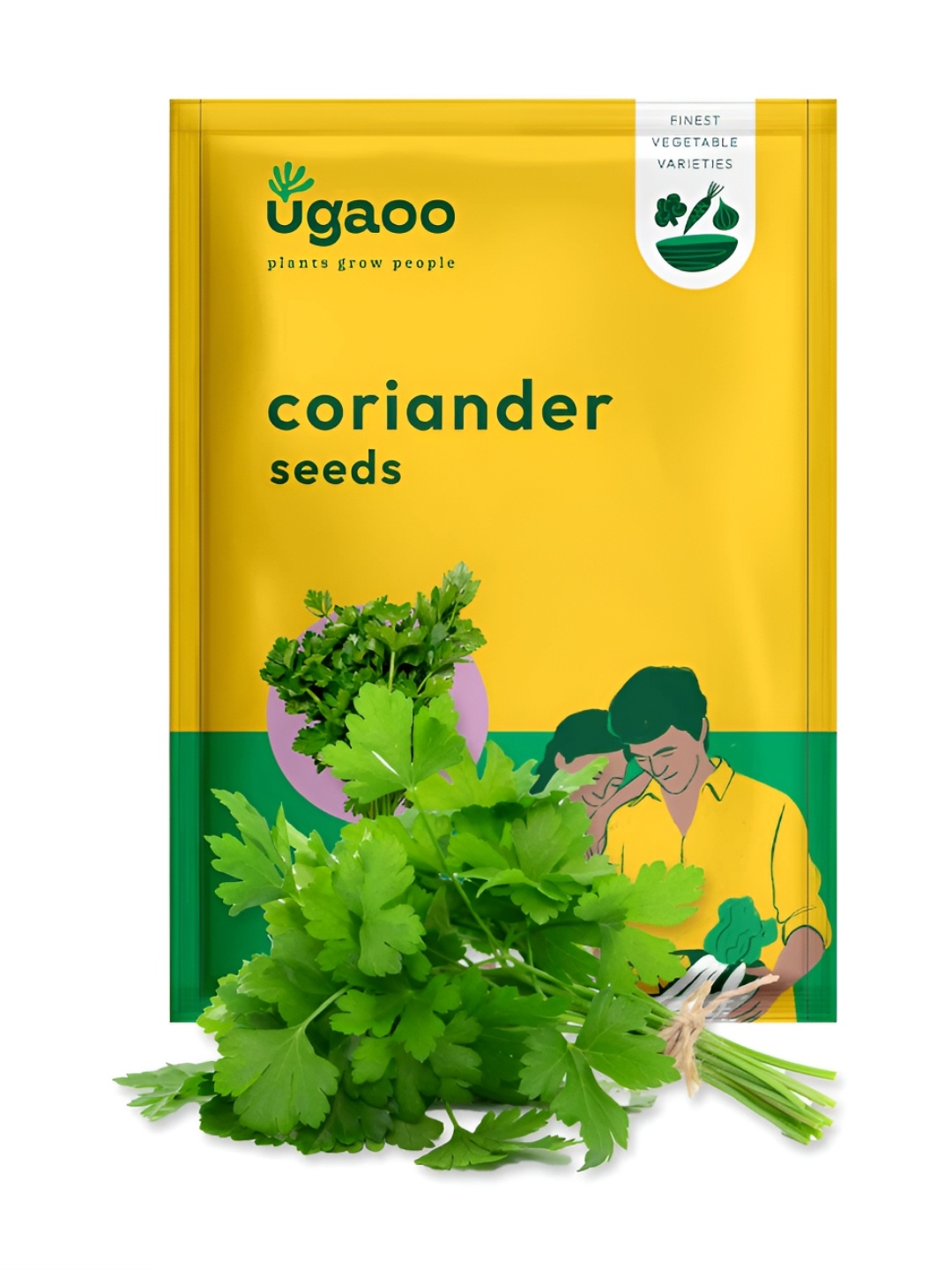

UGAOO Coriander Seeds, Brown