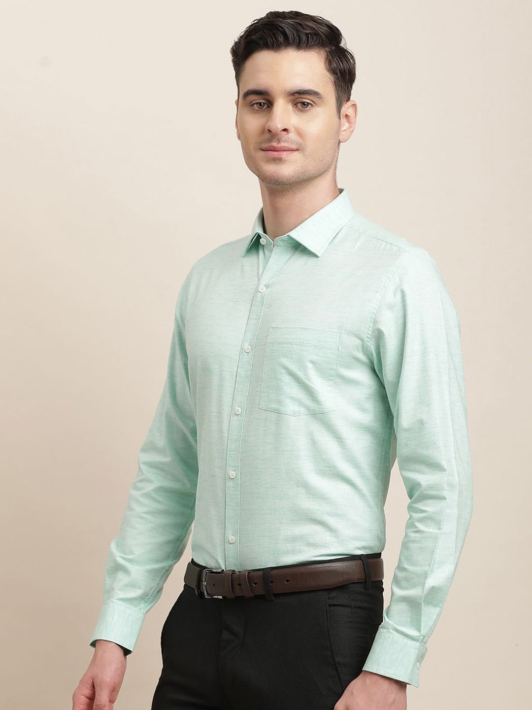 

Turtle Men Classic Opaque Formal Shirt, Green