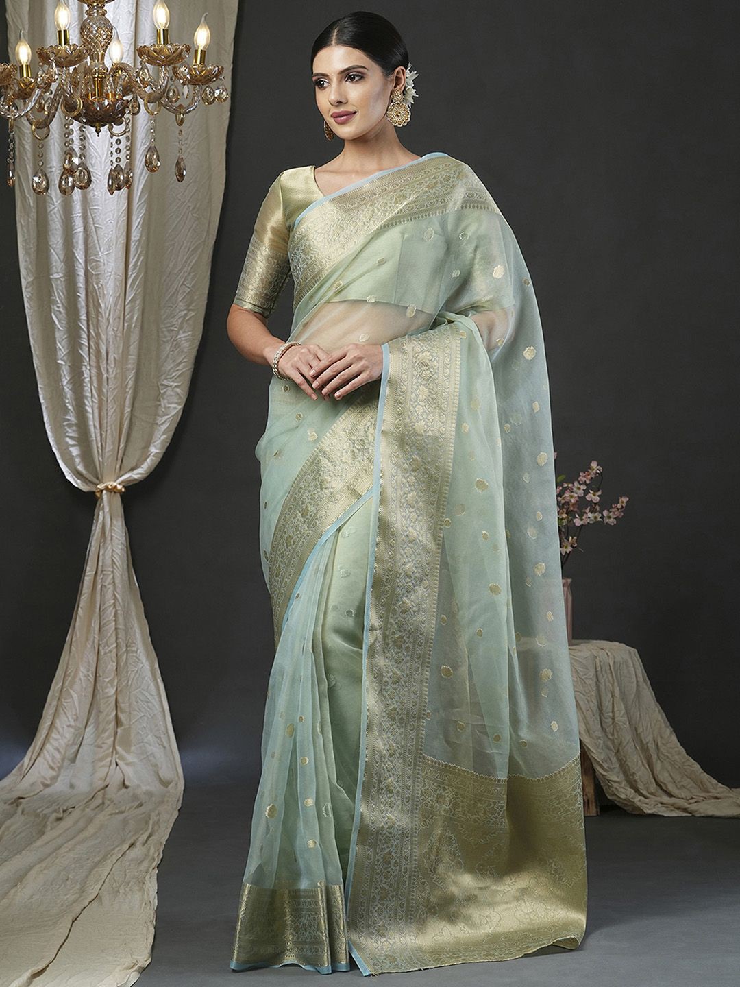 

Mitera Ethnic Motifs Zari Organza Banarasi Saree, Sea green