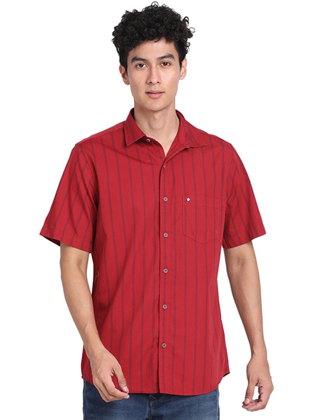 

Turtle Men Relaxed Slim Fit Opaque Striped Casual Shirt, Red