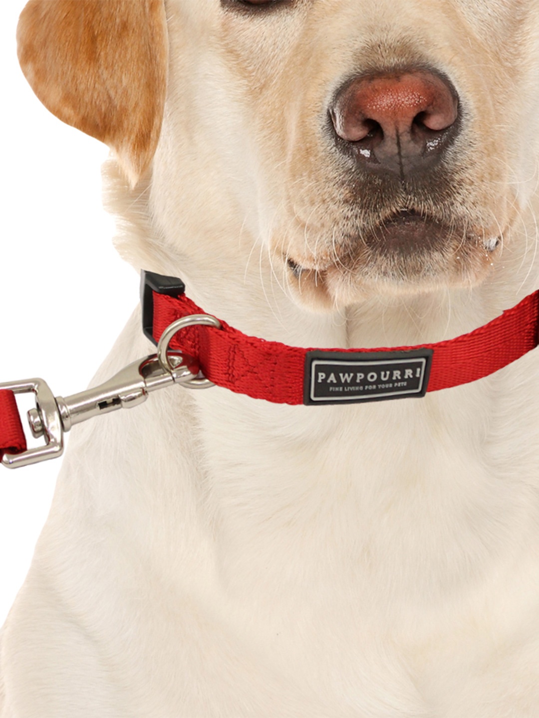

Pawpourri - Fine Living For Your Pets Self-Design Pet Leashes, Red
