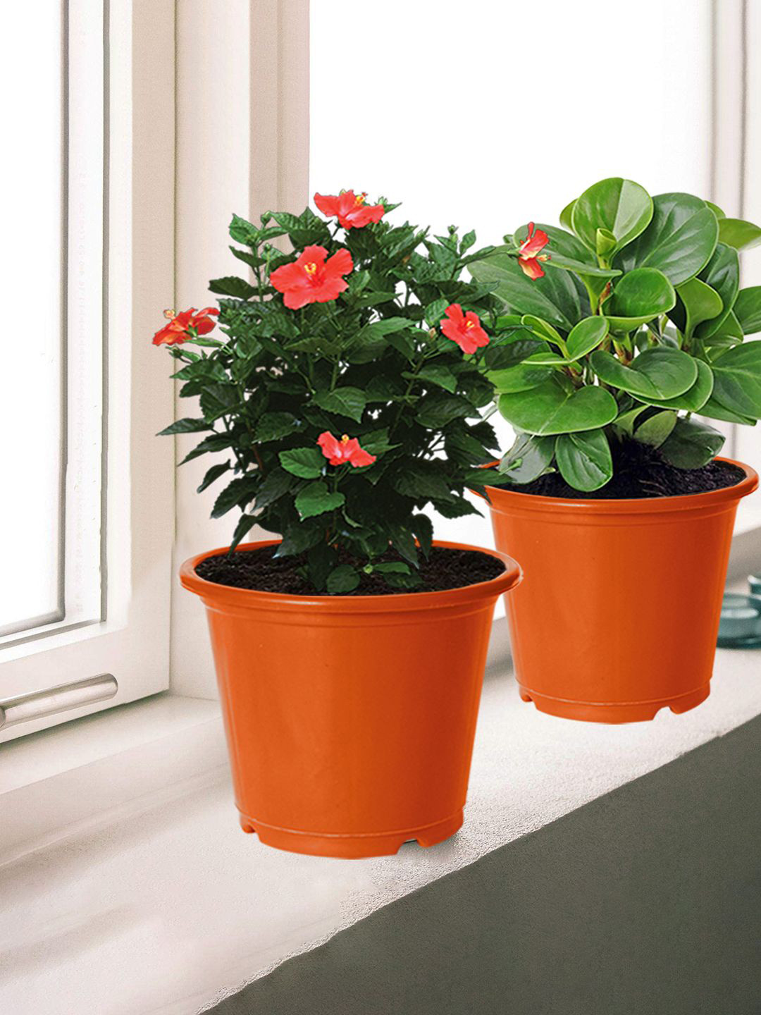 

Kuber Industries 3-Pcs Orange DurablePlanters