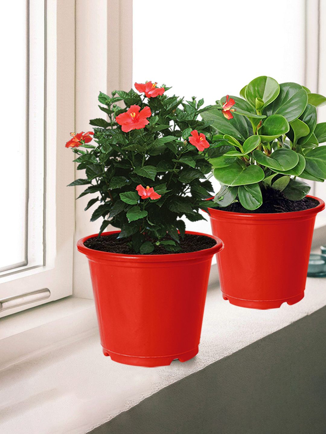 

Kuber Industries 3-Pcs Red Durable Platers
