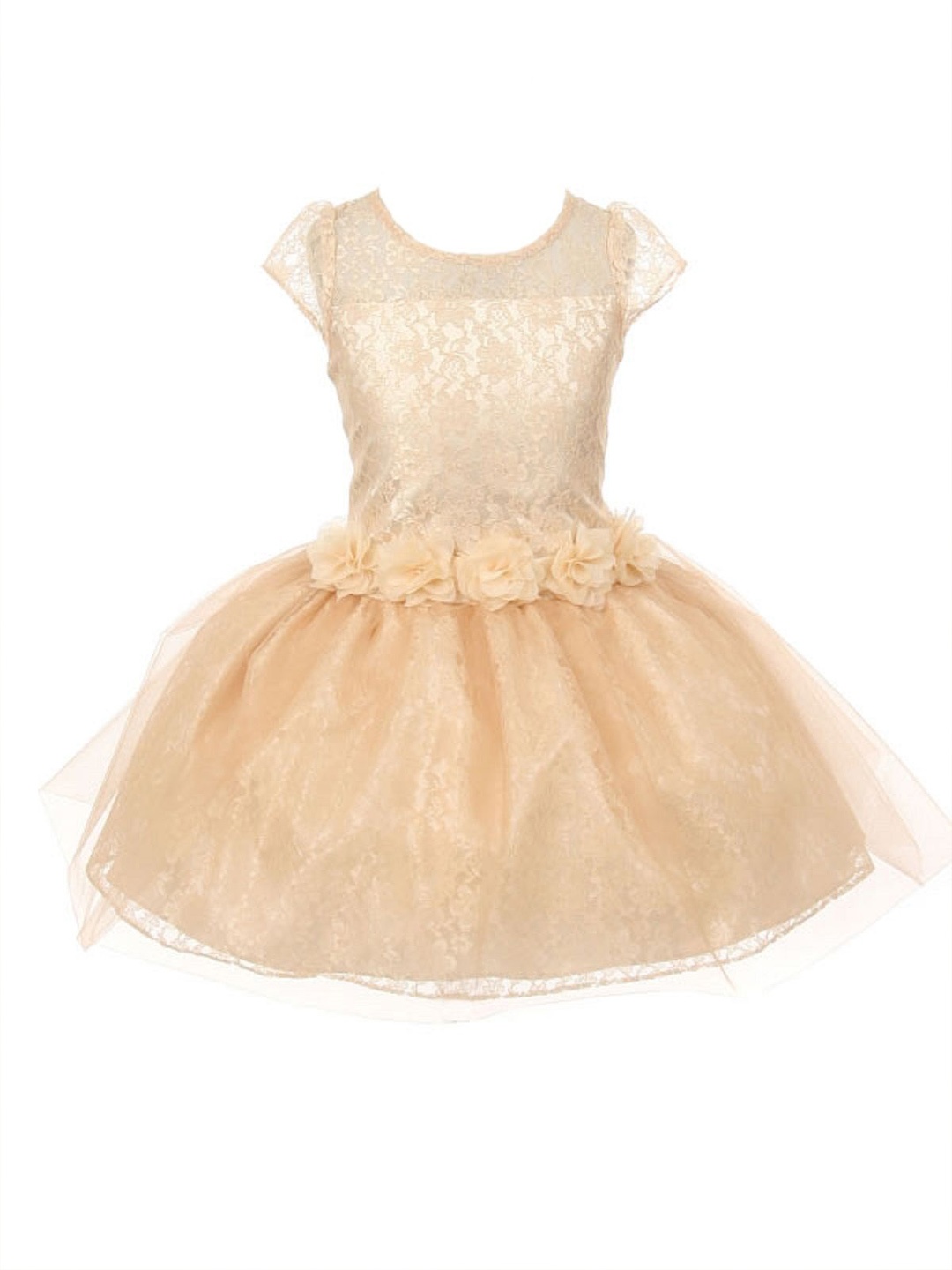 

Wow Princess Cape Sleeve Net A-Line Dress, Gold