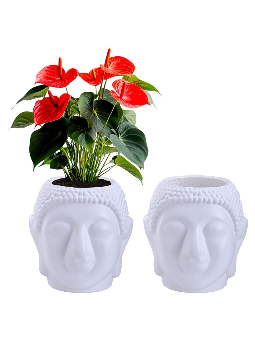 

Kuber Industries 2Pcs White Lord Budha Face Shaped Flower Planters