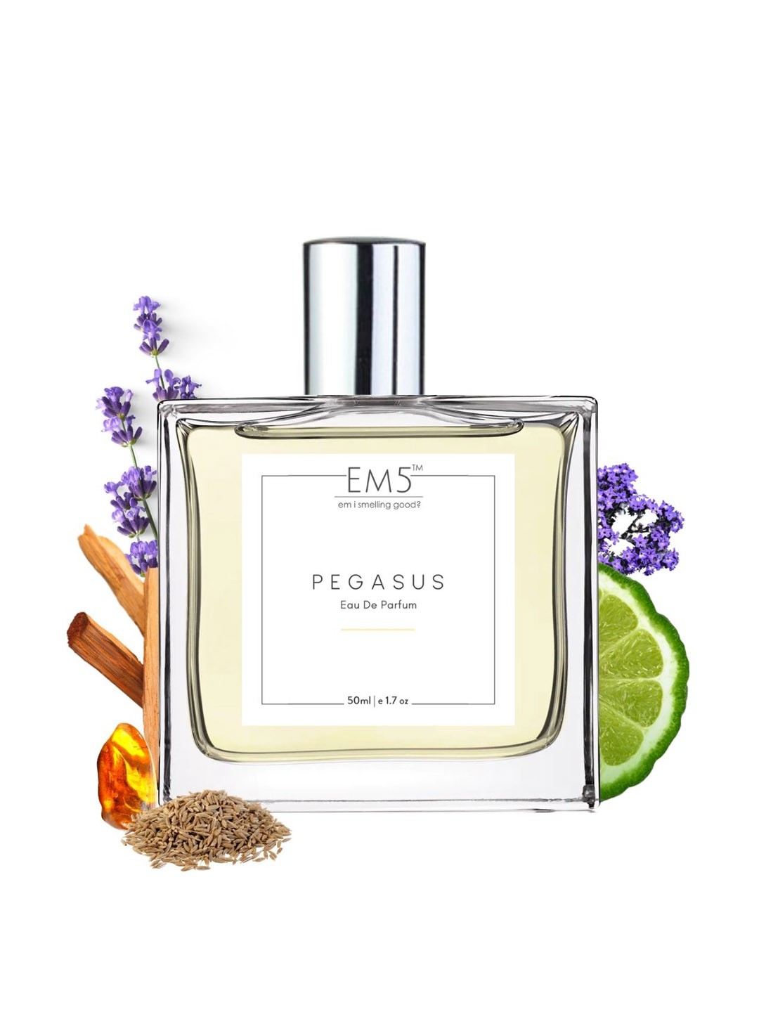

EM5 Men Pegasus Long Lasting Eau De Parfum - 50 ml, Transparent