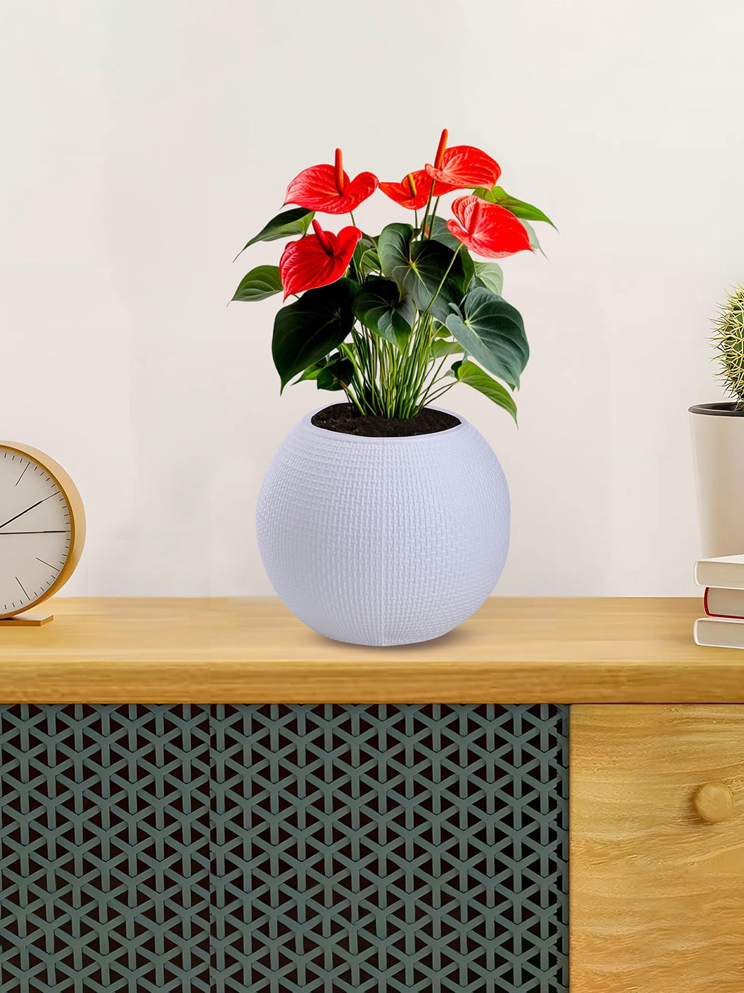 

Kuber Industries White Pot Shaped Flower Planters