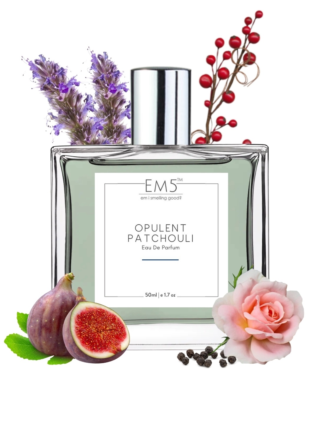 

EM5 Opulent Patchouli Long Lasting Eau De Parfum - 50 ml, Transparent