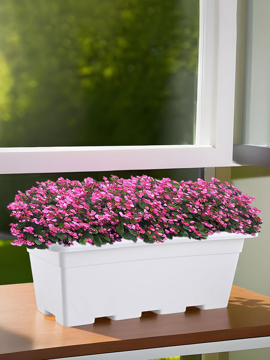 

Kuber Industries White Rectangle Shaped Window Planters