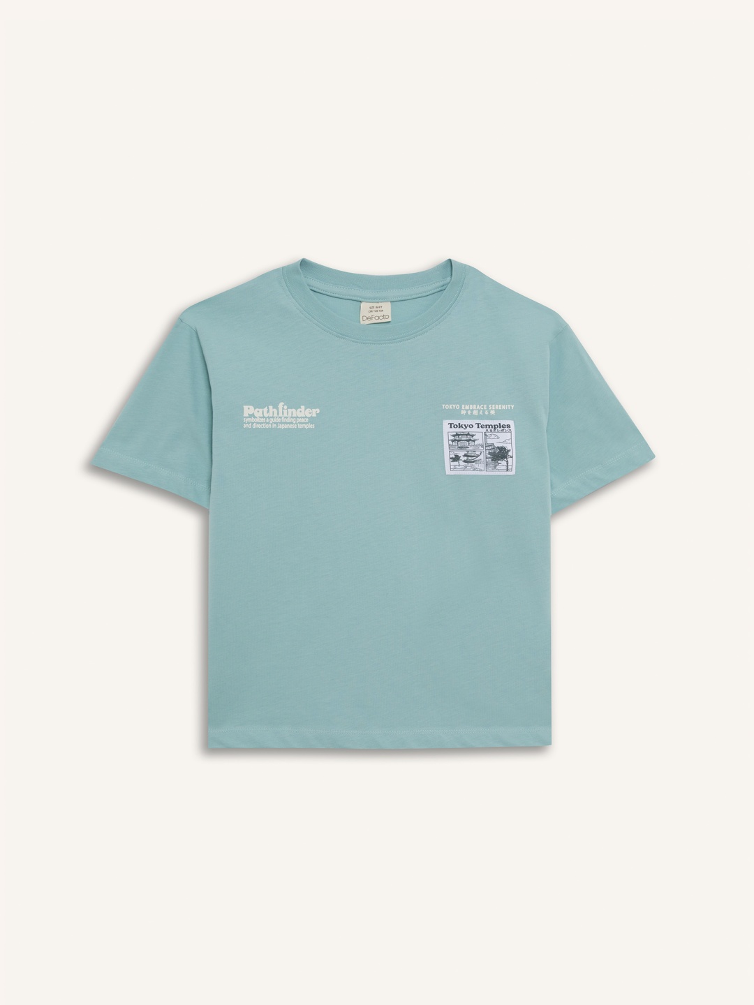 

DeFacto Boys V-Neck Applique T-shirt, Na