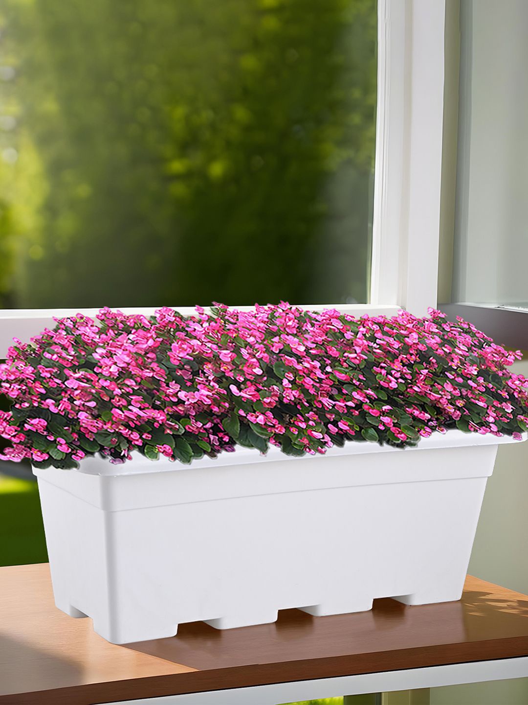 

Kuber Industries White Rectangle Shaped Window Planter