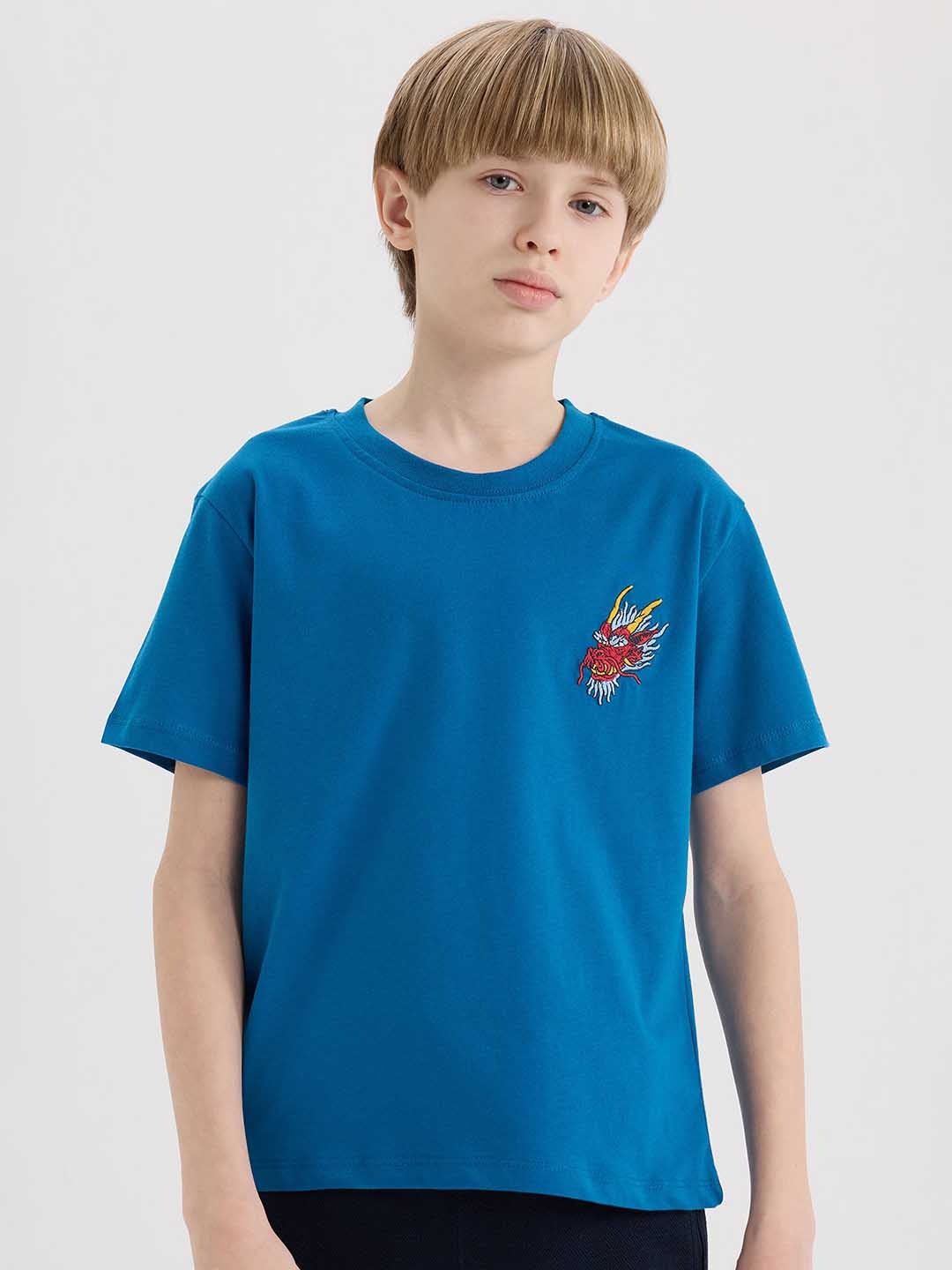 

DeFacto Boys Drop-Shoulder Sleeves Applique T-shirt, Na
