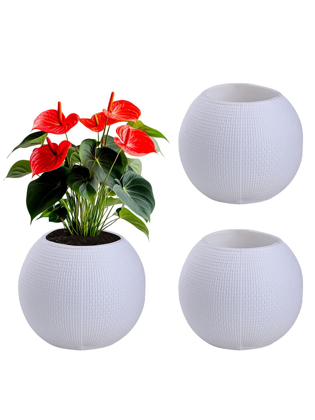 

Kuber Industries 3Pcs White Pot Shaped Flower Planters