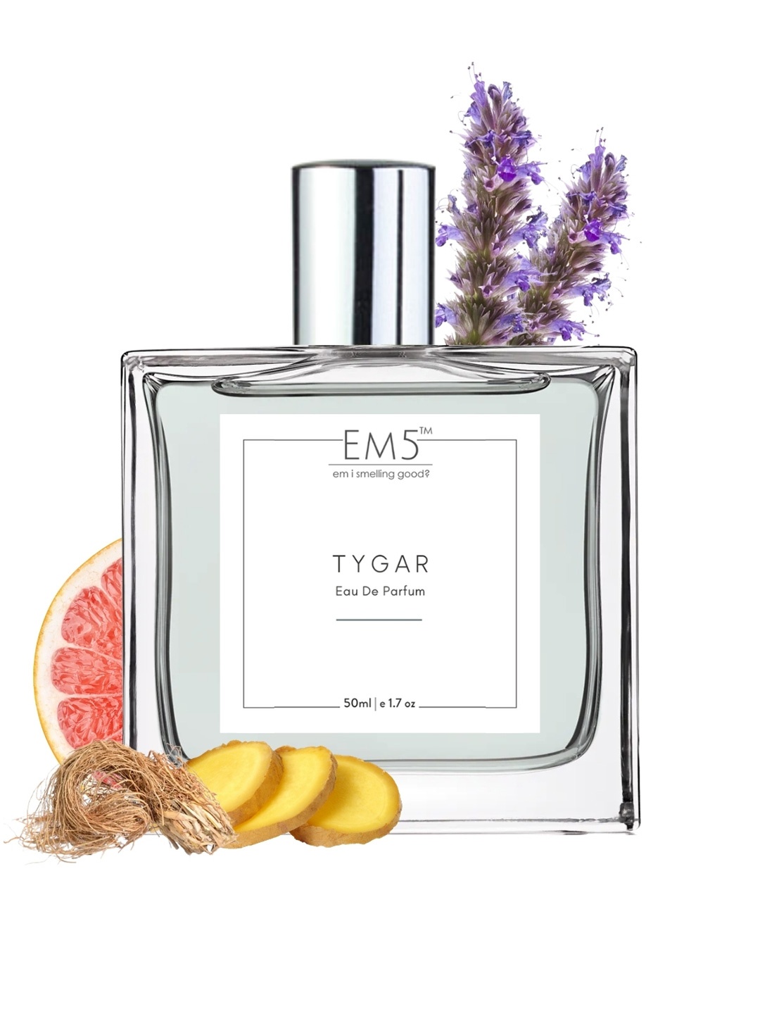 

EM5 Men Tygar Long Lasting Eau De Parfum - 50 ml, Transparent