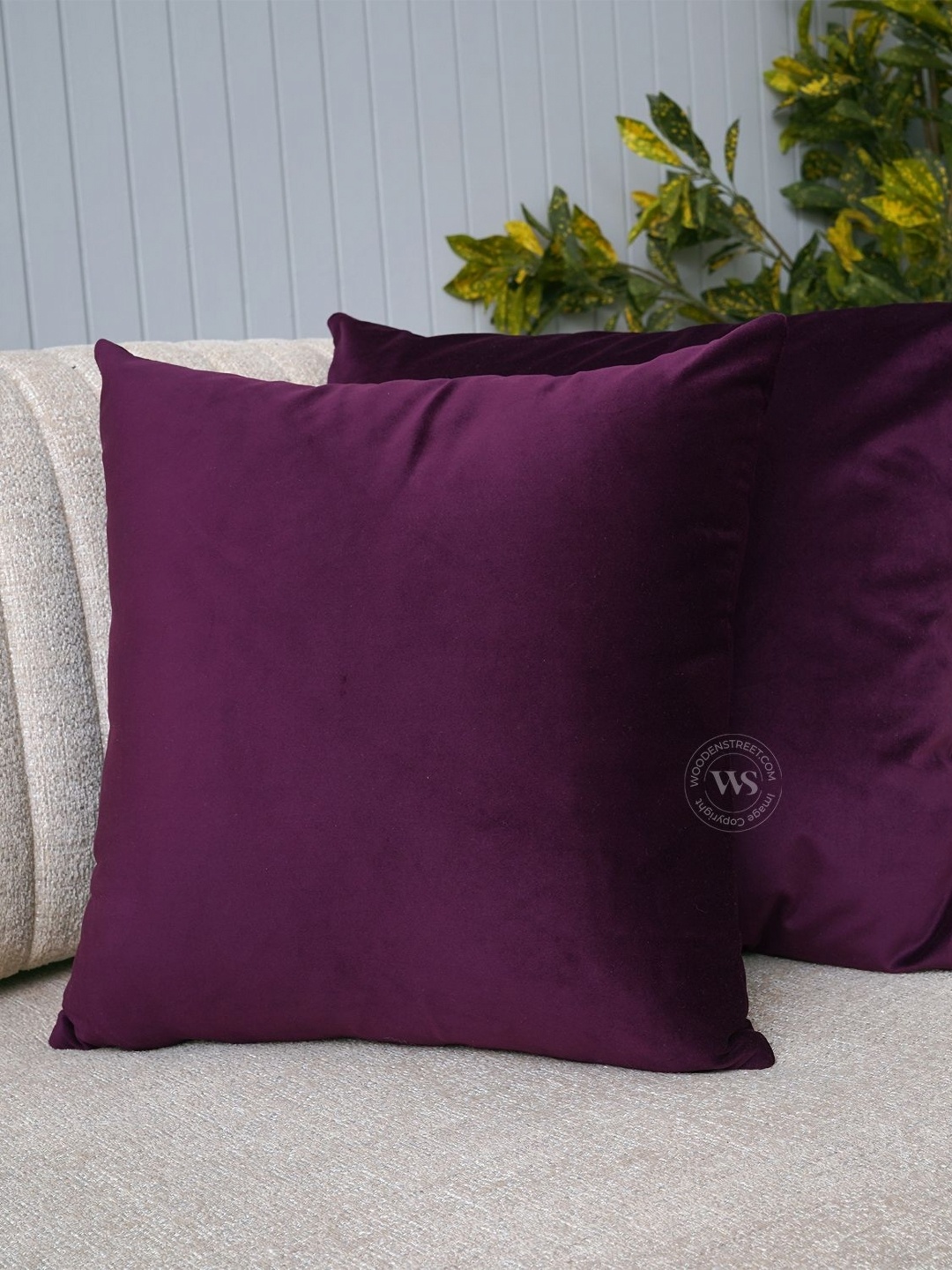 

WOODEN STREET Purple 2 Pieces Velvet Square Cushion Covers