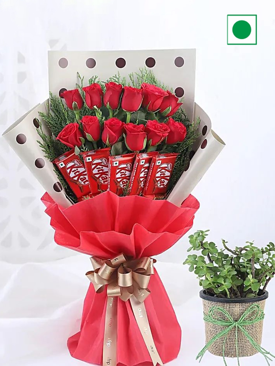 

fnp 12-Pcs Red Roses Bunch With Jade Plant & 5-Pcs Kitkat