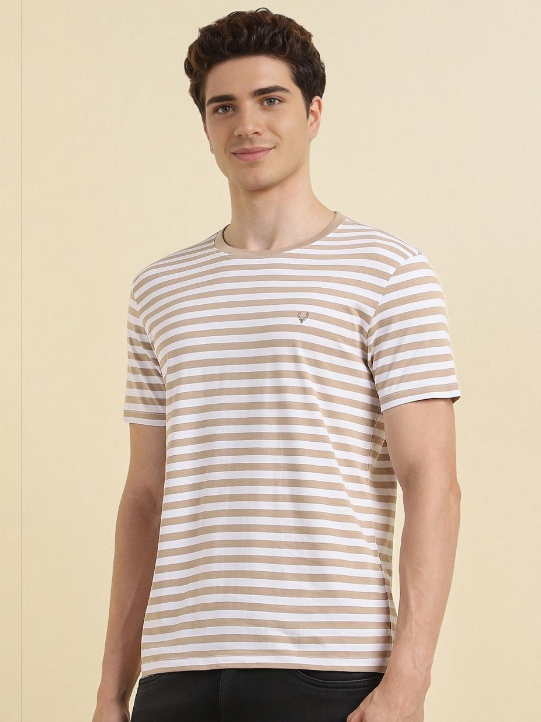 

Allen Solly Men Striped Round Neck Cotton T-shirt, Beige