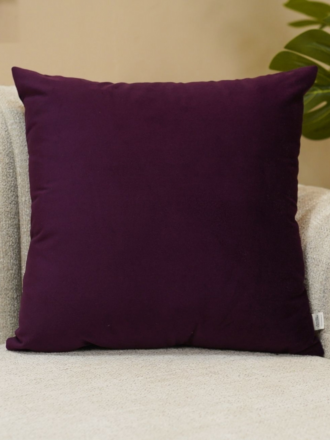 

WOODEN STREET Beige Velvet Square Cushion Cover, Purple