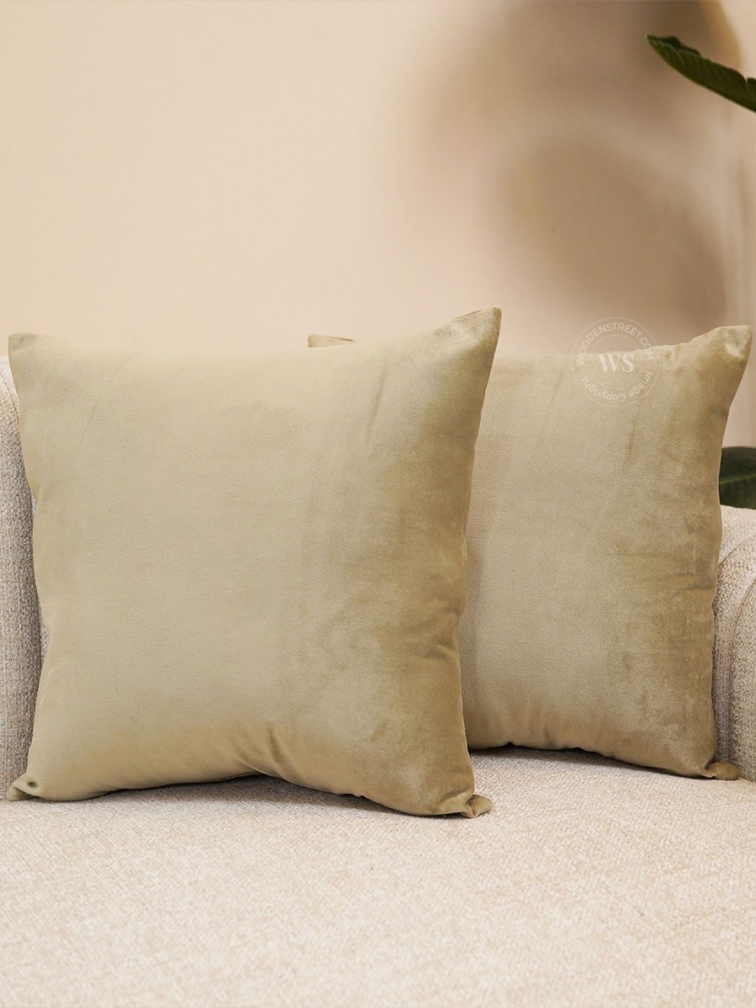 

WOODEN STREET Beige 2 Pieces Velvet Square Cushion Covers