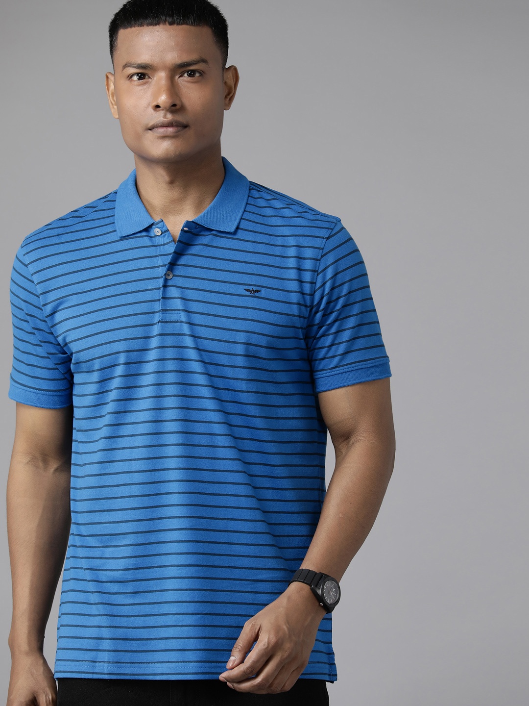 

Park Avenue Men Striped Polo Collar Slim Fit T-shirt, Blue