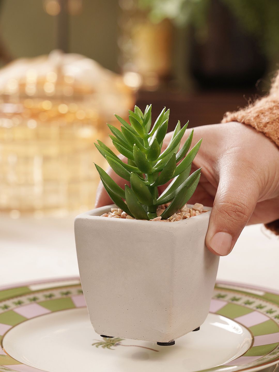 

Pure Home and Living Green & White Cactus Artificial Plant With Pot