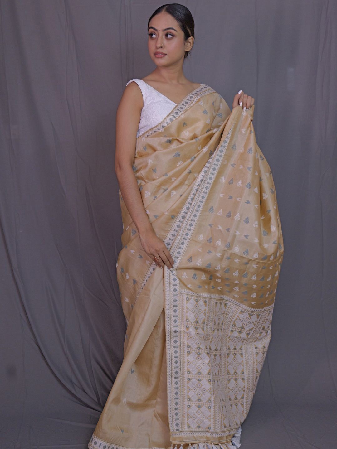 

Mayuri Silk Ethnic Motifs Pure Silk Tussar Saree With Blouse Piece, Beige