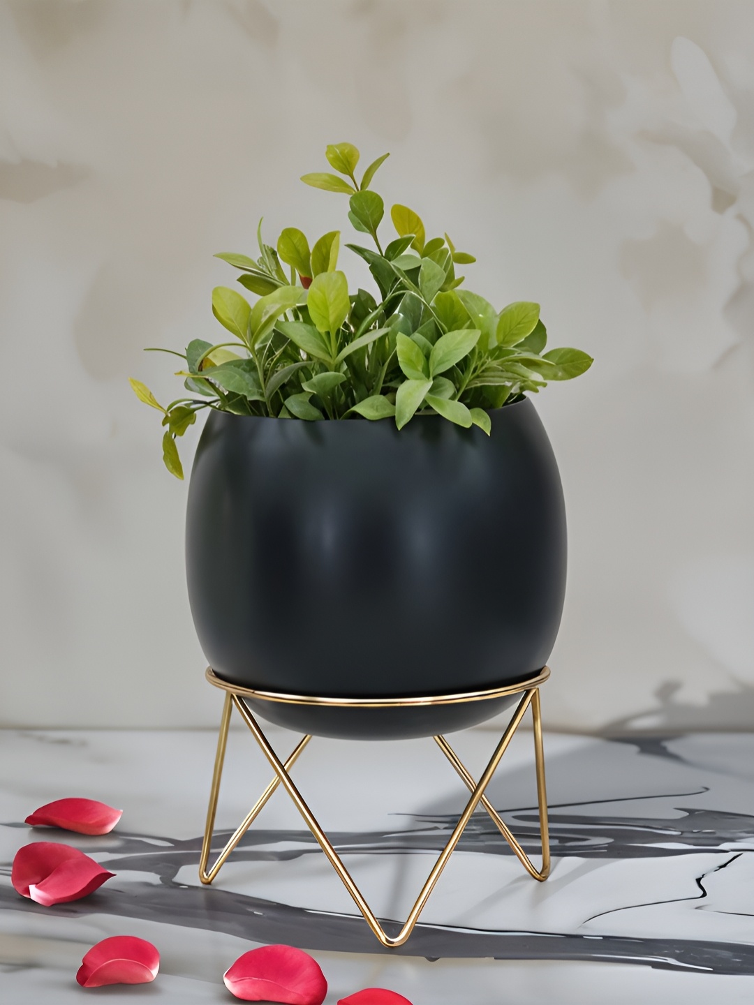 

Royaloak Black Round Shaped Planter With Stand