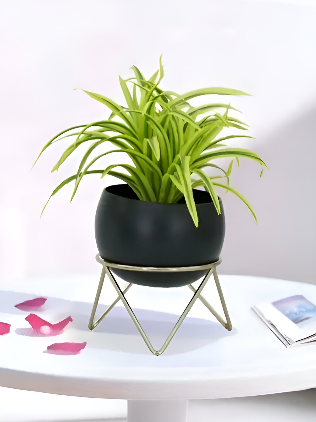 

Royaloak Black Round Shaped Planter