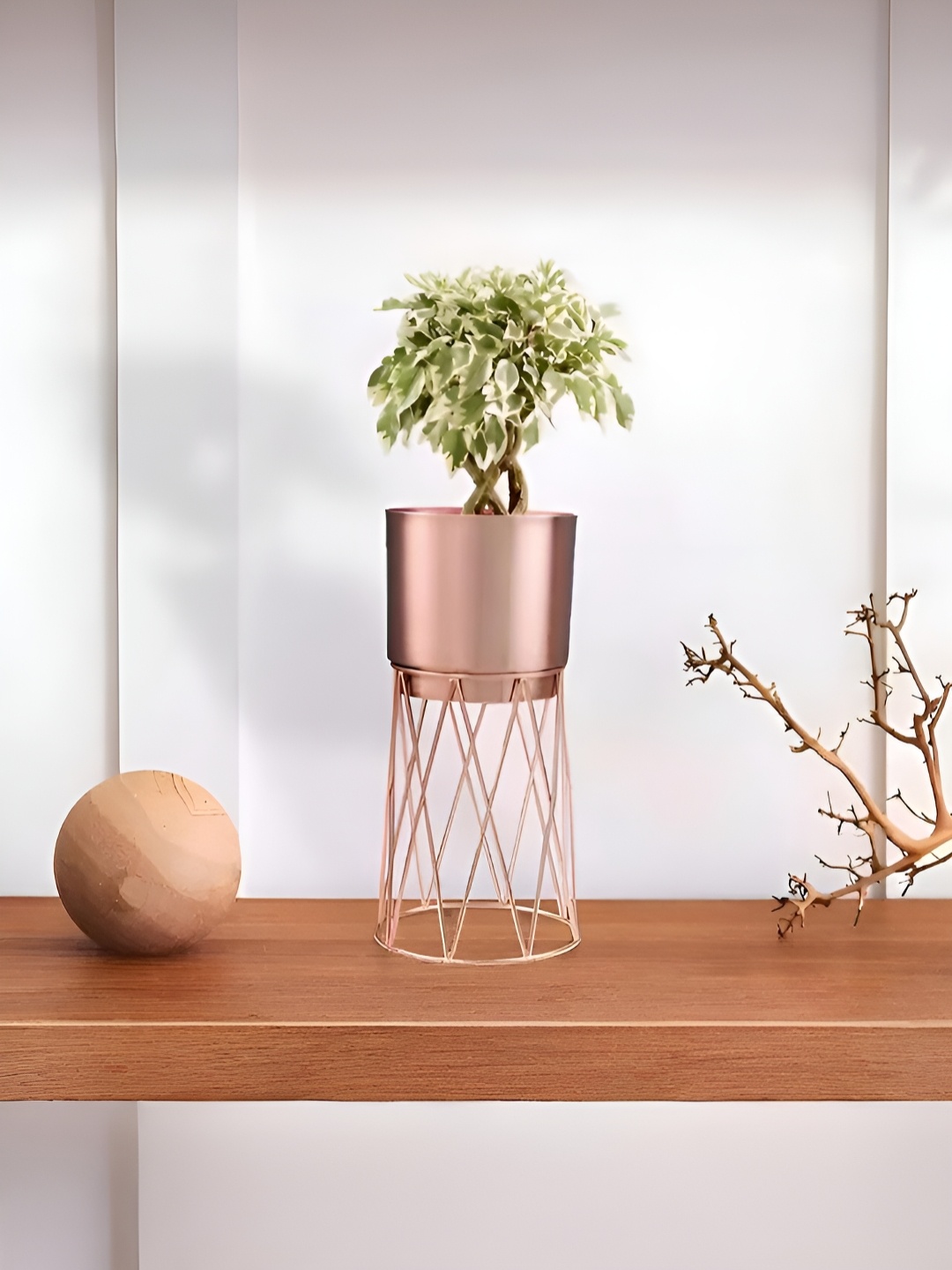 

Royaloak Rose Gold-Toned Floor Planter With Stand