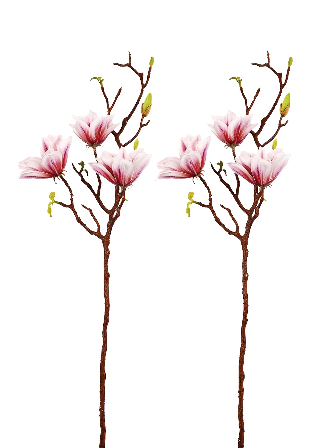 

Myntra Elegant Homes Purple & Brown 2 Pieces Lily Artificial Flower