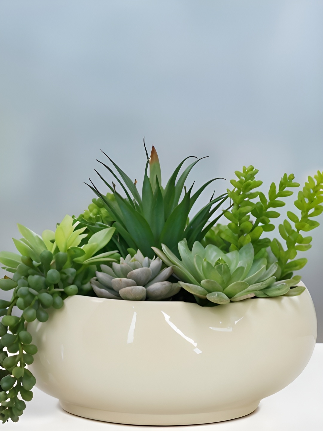 

Royaloak Green 1 Pieces Artificial Plant With Pot